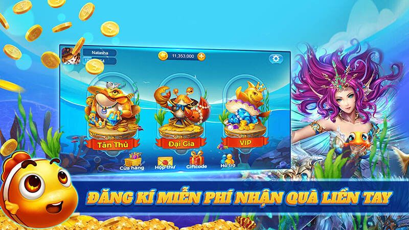 Đăng ký tài khoản trở thành thợ săn cá để nhận quà liền tay